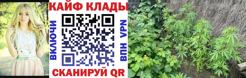 Наркошоп купить Альфа ПВП  Конопля  Меф мяу мяу  ГАШ  ГЕРОИН  COCAIN  Нея