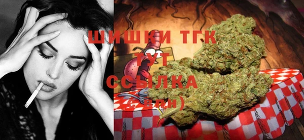 гидра Балахна